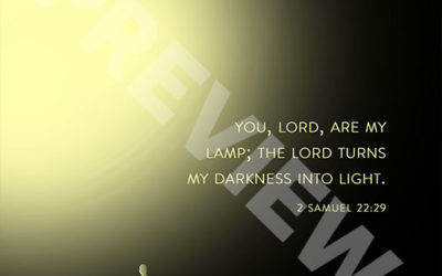 2 Samuel 22:29