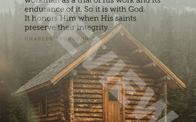 “Nothing reflects so much honor on a workman as a trial of his work and its endurance of it. So it is with God. It honors Him when His saints preserve their integrity.” – Charles Spurgeon