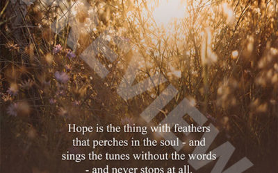 “Hope is the thing with feathers that perches in the soul – and sings the tunes without the words – and never stops at all.” – Emily Dickinson