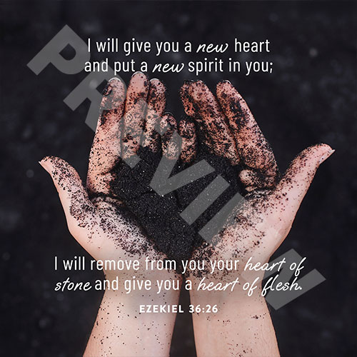 ezekielheartPREV