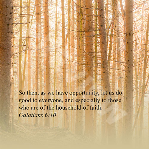 forest_galatians PREVIEW