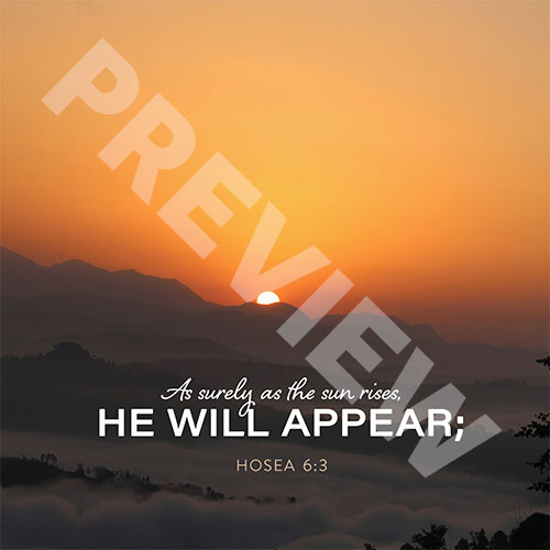 hoseasunPREV