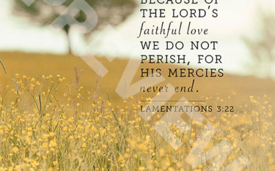 Lamentations 3:22