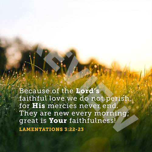 lamentations_morningPREVIEW