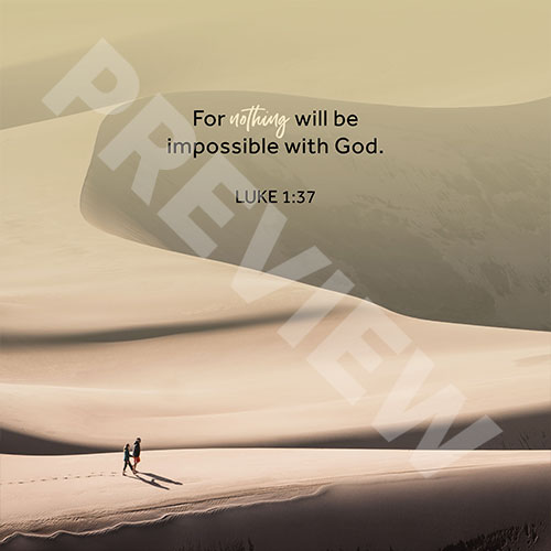 lukewandererpreview
