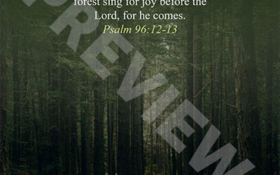 Psalm 96:12-13