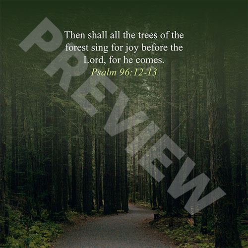 psalm_forestroadPREVIEW
