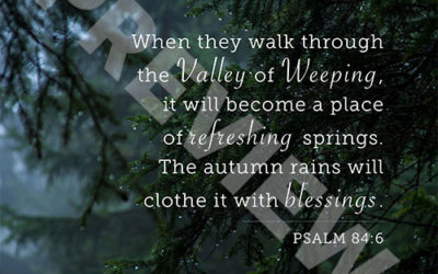 Psalm 84:6