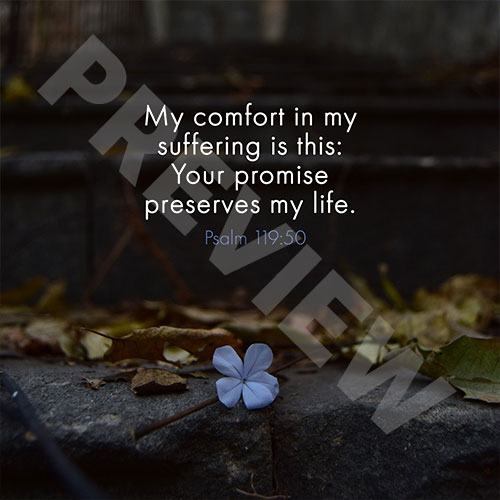 psalmsufferingPREV