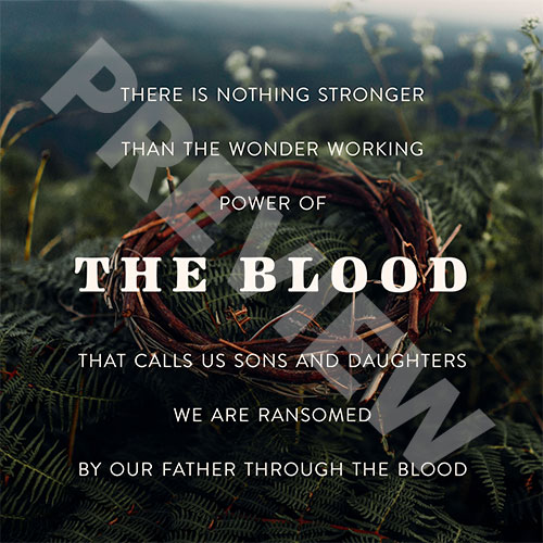 thebloodPREV