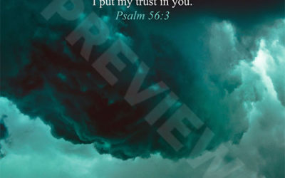 Psalm 56:3