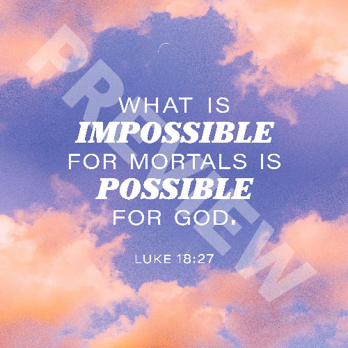 lukepossiblePREV