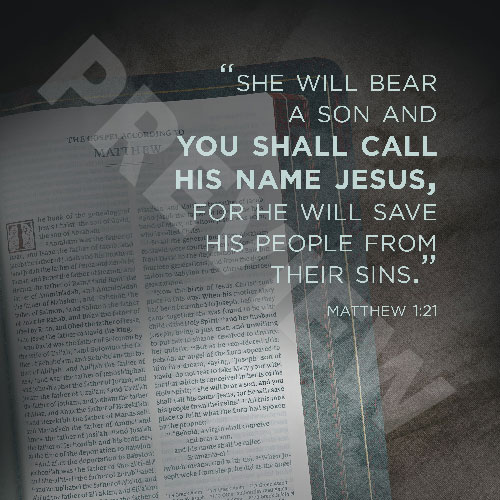 matthew1PREV